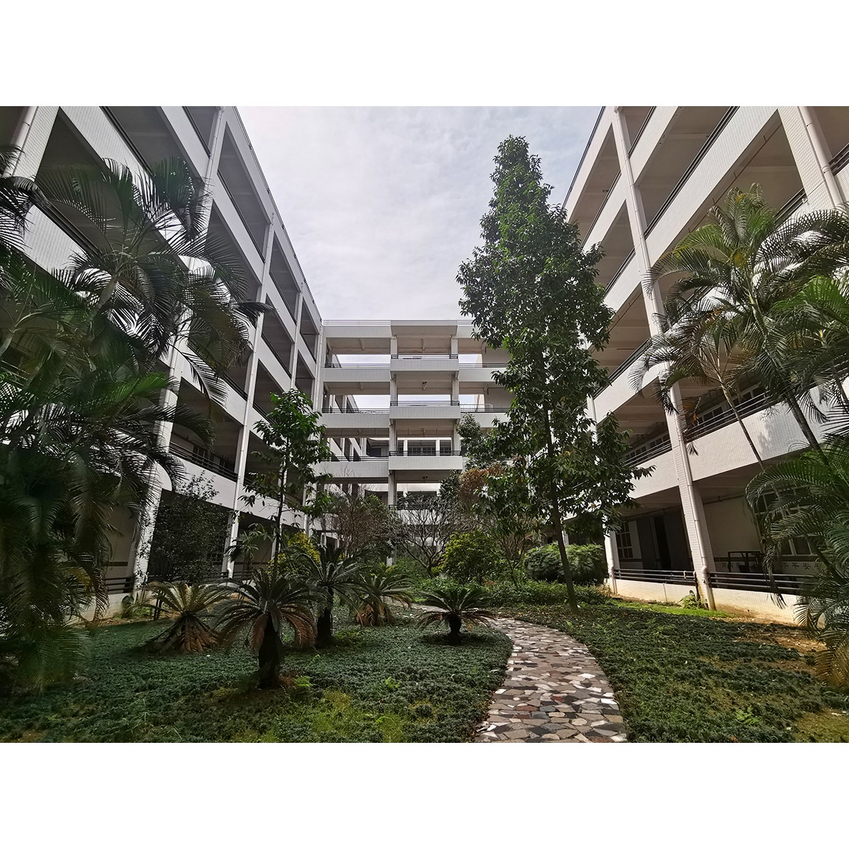工廠照片_(3)